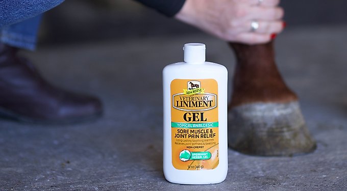 Absorbine Veterinary Topical Menthol Sore Muscles & Arthritis Pain Relief Horse Liniment Gel