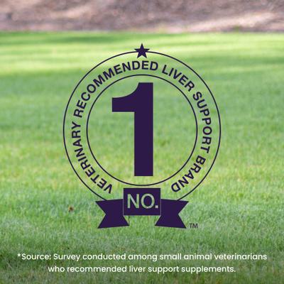 Show full view: Nutramax Denamarin with S-Adenosylmethionine & Silybin Tablets Liver Supplement for Medium Dogs, 30 count bottle slide 4 of 12