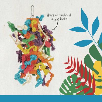 Show full view: Hari Smart Play Preening Block Bird Toy slide 4 of 6