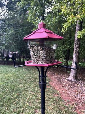 Show full view: Pennington Earth Smart Recycled EcoGazebo Bird Feeder, Red slide 9 of 12