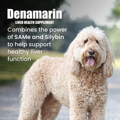 Show full view: Nutramax Denamarin with S-Adenosylmethionine & Silybin Tablet Liver Supplement for Large Dogs, 30 count bottle slide 3 of 13