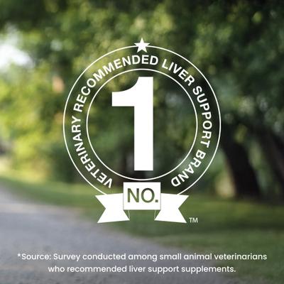 Nutramax Denamarin with S-Adenosylmethionine & Silybin Tablet Liver Supplement for Large Dogs