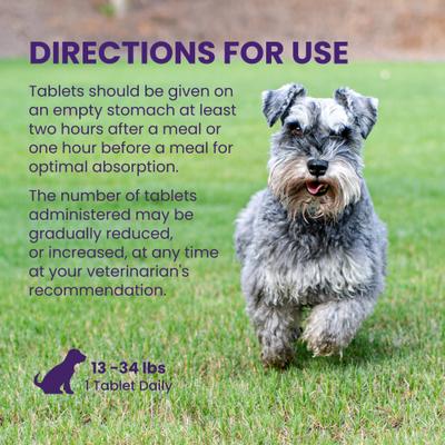 Show full view: Nutramax Denamarin with S-Adenosylmethionine & Silybin Tablets Liver Supplement for Medium Dogs, 30 count bottle slide 8 of 12