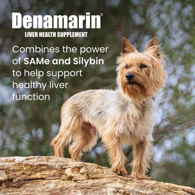Show full view: Nutramax Denamarin with S-Adenosylmethionine & Silybin Tablets Liver Supplement for Small Dogs & Cats, 30 count slide 3 of 13