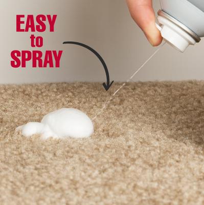 Show full view: Nature's Miracle Dog Urine Destroyer Plus Enzymatic Stain Remover Foam Aerosol Spray, 17.5-fl oz bottle slide 4 of 12