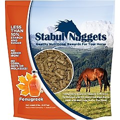 The 20 Best Horse Treats PetMD