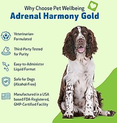 Pet Wellbeing Adrenal Harmony Gold Bacon Flavored Liquid Supplement for Dogs, 4-oz bottle slide 2 of 7