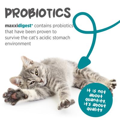 Show full view: maxxipaws maxxidigest+ Advanced Immune Support Prebiotic & Probiotic Powder Digestive Aid Supplement for Cats, 3.2-oz jar slide 4 of 10
