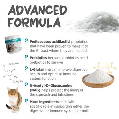 Show full view: maxxipaws maxxidigest+ Advanced Immune Support Prebiotic & Probiotic Powder Digestive Aid Supplement for Cats, 3.2-oz jar slide 7 of 10