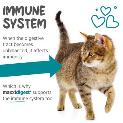 Show full view: maxxipaws maxxidigest+ Advanced Immune Support Prebiotic & Probiotic Powder Digestive Aid Supplement for Cats, 3.2-oz jar slide 5 of 10