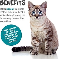 maxxipaws maxxidigest+ Advanced Immune Support Prebiotic & Probiotic Powder Digestive Aid Supplement for Cats, 3.2-oz jar slide 2 of 9