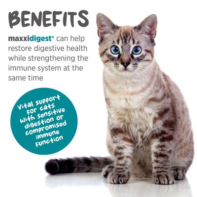 Show full view: maxxipaws maxxidigest+ Advanced Immune Support Prebiotic & Probiotic Powder Digestive Aid Supplement for Cats, 3.2-oz jar slide 3 of 10