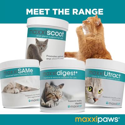 Show full view: maxxipaws maxxidental Advanced Oral Support Dental & Gum Care Powder Supplement for Cats, 3.2-oz jar slide 8 of 10