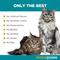 Show in main carousel: maxxipaws maxxidental Advanced Oral Support Dental & Gum Care Powder Supplement for Cats, 3.2-oz jar slide 6 of 10