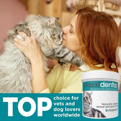 Show full view: maxxipaws maxxidental Advanced Oral Support Dental & Gum Care Powder Supplement for Cats, 3.2-oz jar slide 3 of 10