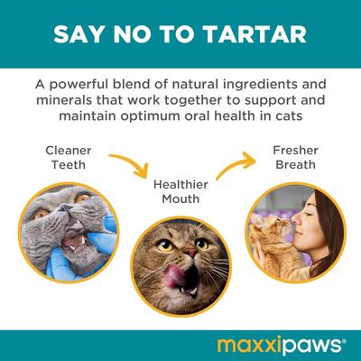 Show full view: maxxipaws maxxidental Advanced Oral Support Dental & Gum Care Powder Supplement for Cats, 3.2-oz jar slide 4 of 10