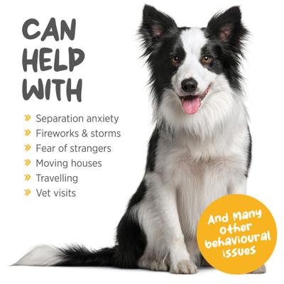 Show full view: maxxipaws maxxicalm Natural Calming Supplement for Dogs, 60 count slide 4 of 9