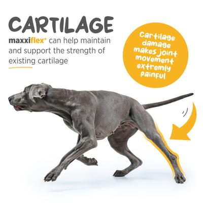 Show full view: maxxipaws maxxiflex+ Liver Flavored Hip & Joint Supplement for Dogs, 60 count slide 5 of 10