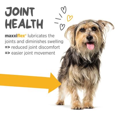Show full view: maxxipaws maxxiflex+ Liver Flavored Hip & Joint Supplement for Dogs, 60 count slide 4 of 10
