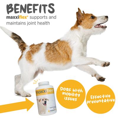 Show full view: maxxipaws maxxiflex+ Liver Flavored Hip & Joint Supplement for Dogs, 60 count slide 3 of 10