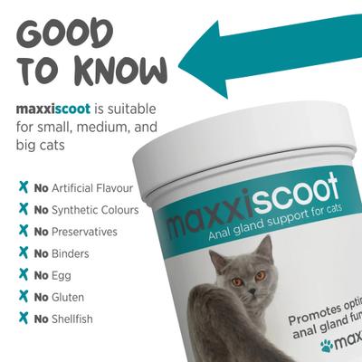 Show full view: maxxipaws maxxiscoot Pumpkin Flavored Anal Gland & Digestive Health Support Powder Supplement for Cats, 3.2-oz jar slide 8 of 10