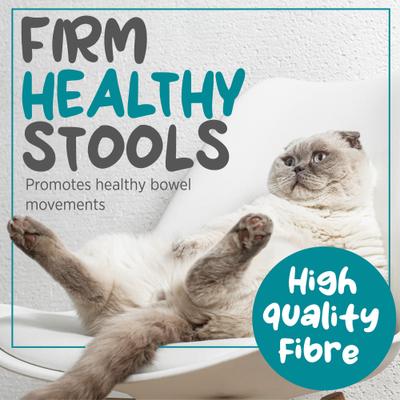 Show full view: maxxipaws maxxiscoot Pumpkin Flavored Anal Gland & Digestive Health Support Powder Supplement for Cats, 3.2-oz jar slide 5 of 10