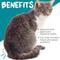 Show in main carousel: maxxipaws maxxiscoot Pumpkin Flavored Anal Gland & Digestive Health Support Powder Supplement for Cats, 3.2-oz jar slide 3 of 10