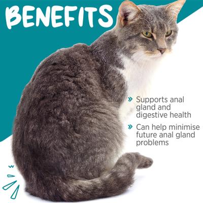 Show full view: maxxipaws maxxiscoot Pumpkin Flavored Anal Gland & Digestive Health Support Powder Supplement for Cats, 3.2-oz jar slide 3 of 10