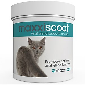 maxxipaws maxxiscoot Pumpkin Flavored Anal Gland & Digestive Health Support Powder Supplement for Cats, 3.2-oz jar