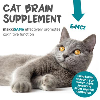 Show full view: maxxipaws maxxiSAMe Advanced SAM-e Powder Liver & Cognitive Supplement for Cats, 3.2-oz jar slide 4 of 10