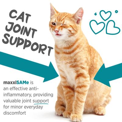 Show full view: maxxipaws maxxiSAMe Advanced SAM-e Powder Liver & Cognitive Supplement for Cats, 3.2-oz jar slide 5 of 10