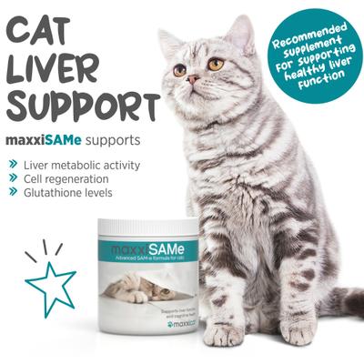 Show full view: maxxipaws maxxiSAMe Advanced SAM-e Powder Liver & Cognitive Supplement for Cats, 3.2-oz jar slide 3 of 10