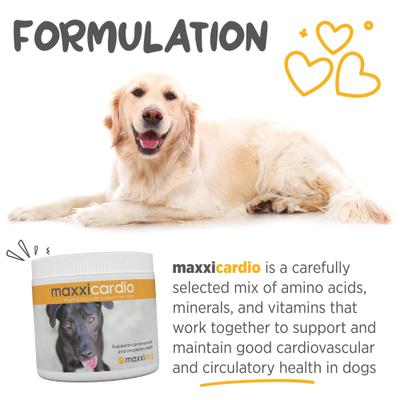 Show full view: maxxipaws maxxicardio Heart & Cardiovascular Powder Supplement for Dogs, 5.3-oz jar slide 6 of 10
