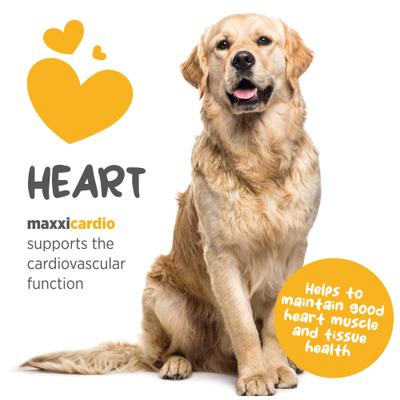 Show full view: maxxipaws maxxicardio Heart & Cardiovascular Powder Supplement for Dogs, 5.3-oz jar slide 4 of 10