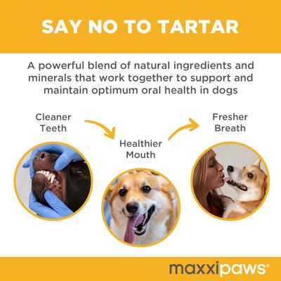 Show full view: maxxipaws maxxidental Advanced Oral Support Dental & Gum Care Powder Supplement for Dogs, 5-oz jar slide 4 of 10
