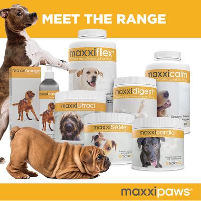 Show full view: maxxipaws maxxidental Advanced Oral Support Dental & Gum Care Powder Supplement for Dogs, 5-oz jar slide 8 of 10