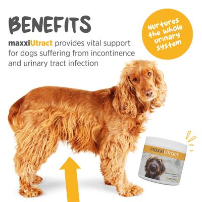 Show full view: maxxipaws maxxiUtract Urinary & Bladder Support Powder Supplement for Dogs, 5.3-oz jar slide 3 of 10