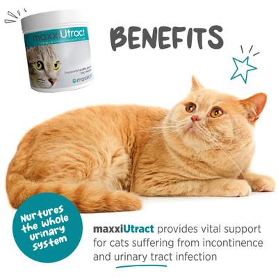 Show full view: maxxipaws maxxiUtract Urinary & Bladder Support Powder Supplement for Cats, 3.2-oz jar slide 3 of 10