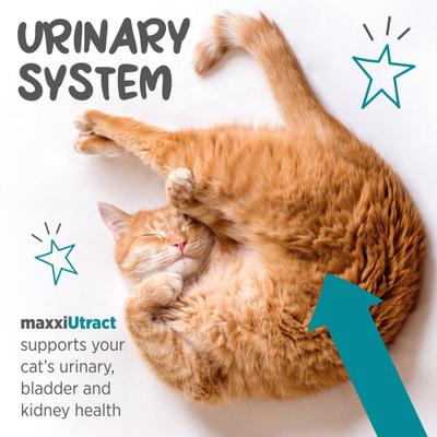 Show full view: maxxipaws maxxiUtract Urinary & Bladder Support Powder Supplement for Cats, 3.2-oz jar slide 5 of 10