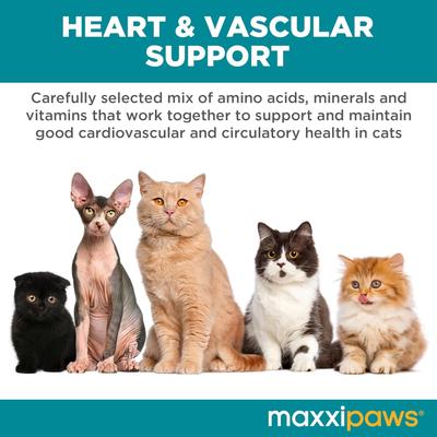 Show full view: maxxipaws maxxicardio Heart & Cardiovascular Powder Supplement for Cats, 3.2-oz jar slide 4 of 10