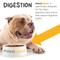 Show in main carousel: maxxipaws maxxidigest+ Advanced Immune Support Prebiotic & Probiotic Powder Digestive Aid Supplement for Dogs, 7-oz jar slide 6 of 10