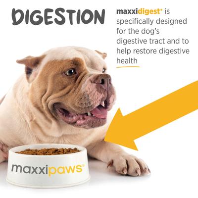 Show full view: maxxipaws maxxidigest+ Advanced Immune Support Prebiotic & Probiotic Powder Digestive Aid Supplement for Dogs, 7-oz jar slide 6 of 10