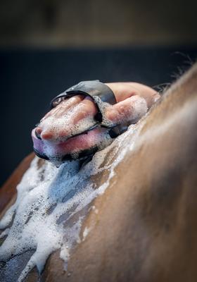 Show full view: LeMieuxHippo Horse Scrubber, Black slide 3 of 3