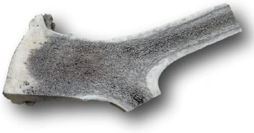 Show full view: Top Dog Chews Elk Antler Split Dog Treats, X-Large, 1 count slide 5 of 7