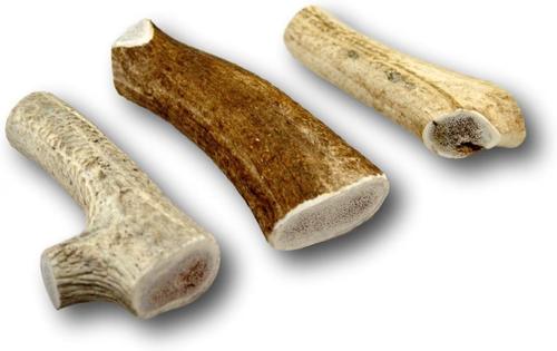 Show full view: Top Dog Chews 10-12" Elk Antler Dog Treat slide 6 of 8