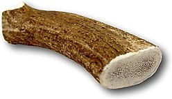 Top Dog Chews 10-12" Elk Antler Dog Treat