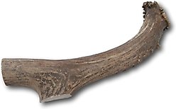 Top Dog Chews Premium Whitetail Deer Large Antler Dog Treat, 1 count
