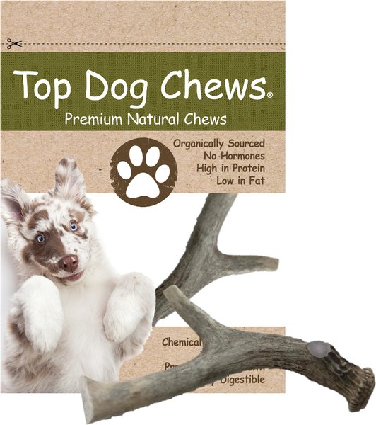 Top Dog Chews Premium Whitetail Deer Large Antler Dog Treat