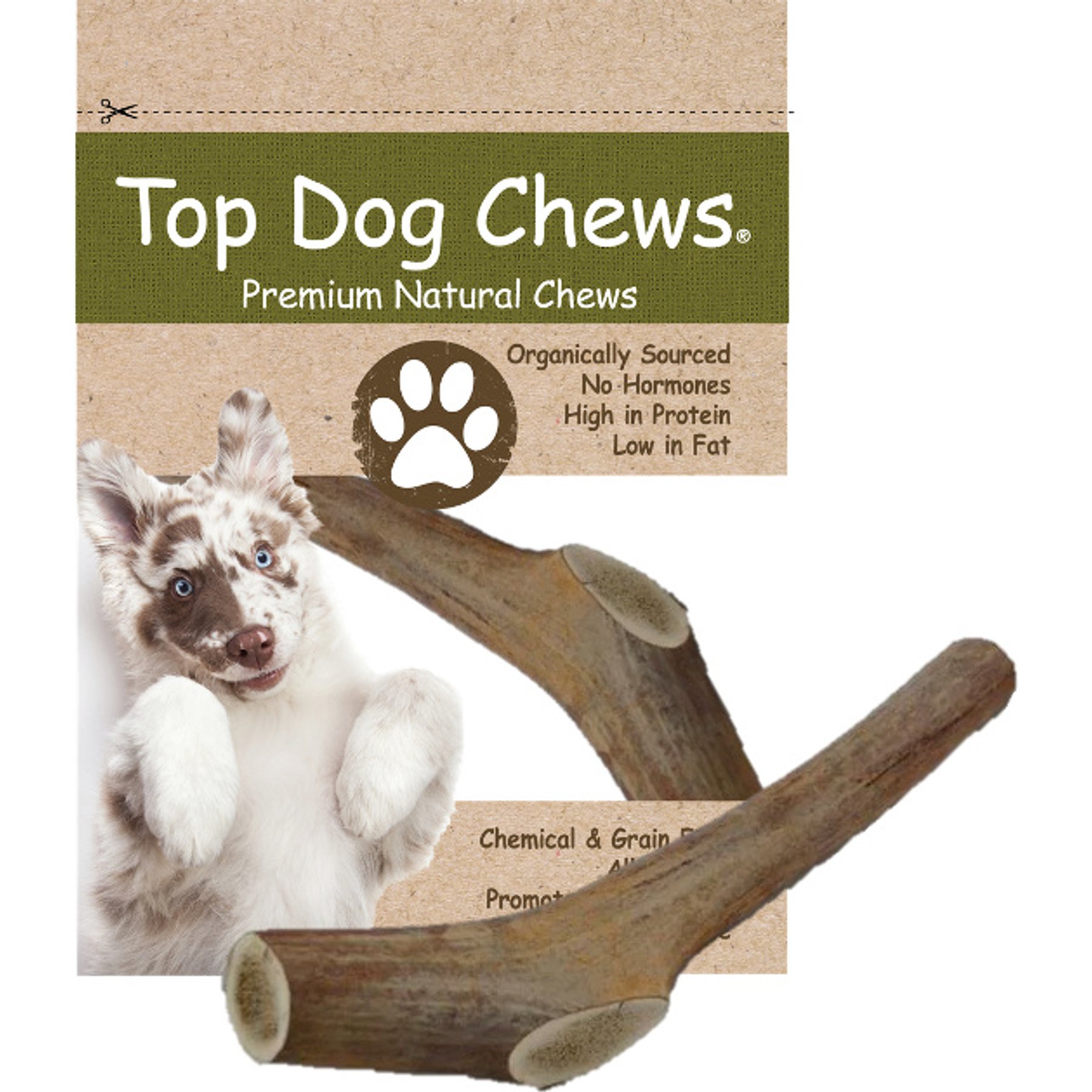 Top Dog Chews Deer & Elk Medium Antler Dog Treat, 1 count