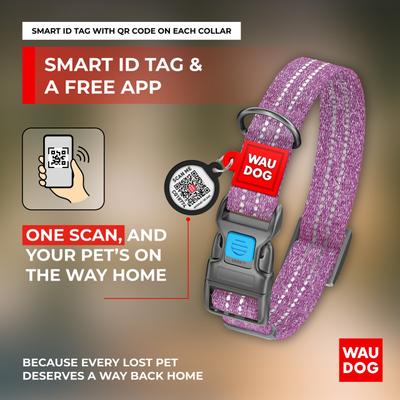 Show full view: WAUDOG QR Passport Cotton Dog Collar, Purple, Large slide 4 of 7